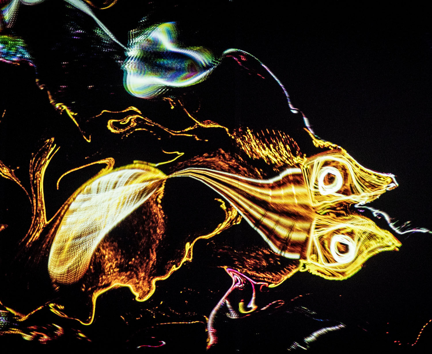 Philipp Artus<br>Aquatics